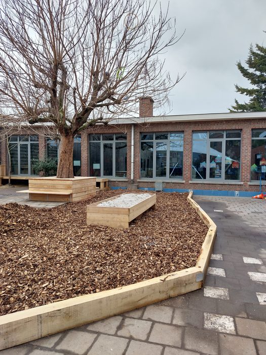 Aanplanting border