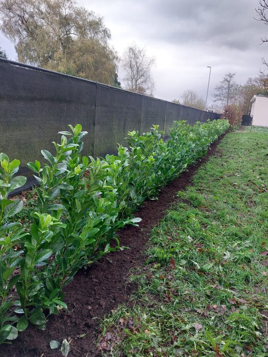 Tuinproject
